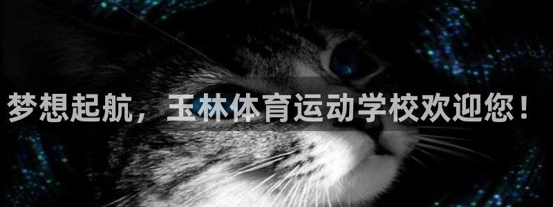 vsport体育官方正版app娱乐首页网站大全：梦想