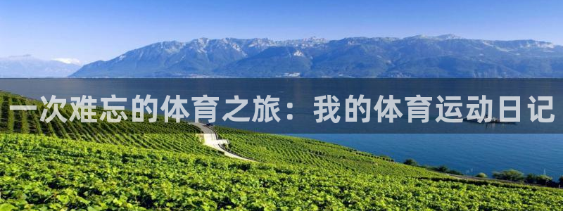 vsport体育官方正版app集团简介：一次难忘的体