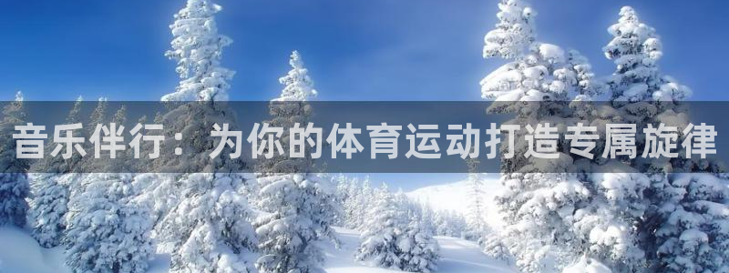 vsport体育官网下载平台APP：音乐伴行：为你的