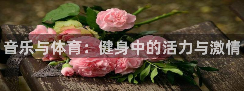 vsport体育官方正版app娱乐代理怎么样：音乐与