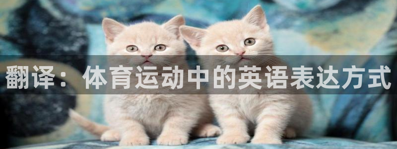 vsport体育官方正版app娱乐网站：翻译：体育运