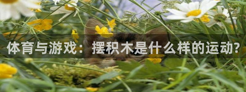 vsport体育官网下载是干嘛的公司：体育与游戏：摆