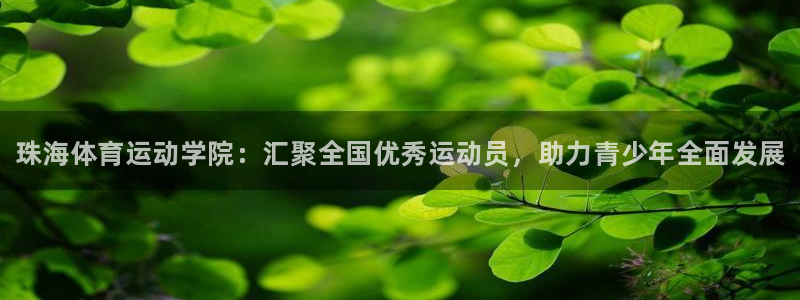 vsport体育官方正版app娱乐是那个系列的台子：