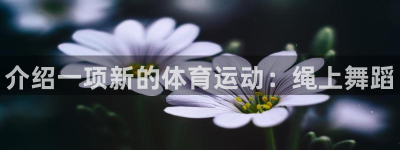 vsport体育官方正版app集团logo：介绍一项