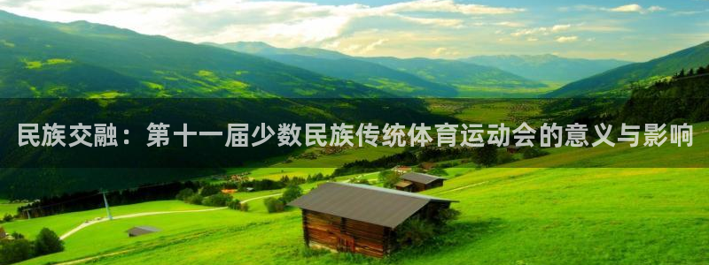 vsport体育官方正版app集团官网网址：民族交融：第十一