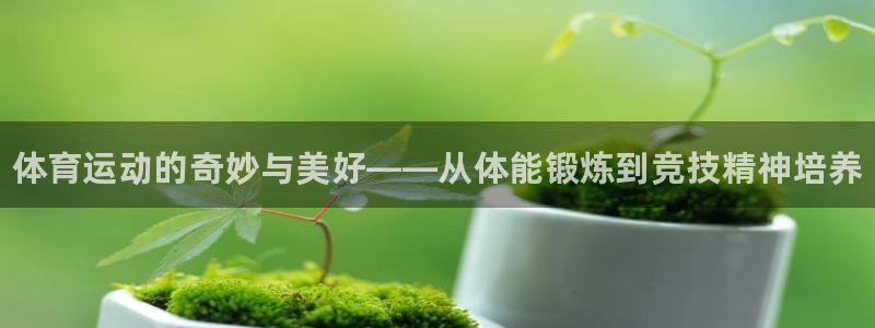vsport体育官网下载平台注册：体育运动的奇妙与美好——从