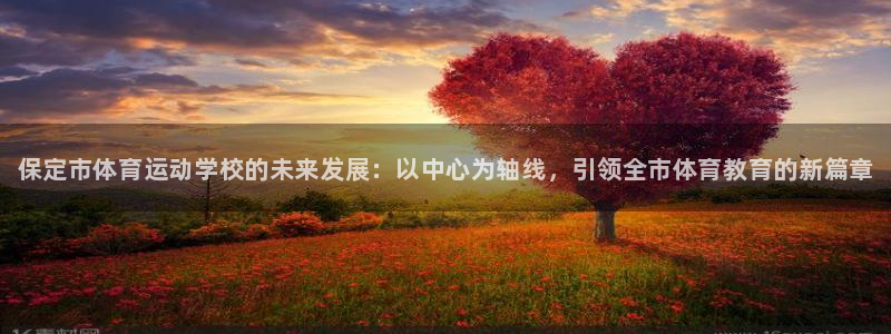 vsport体育官方正版app娱乐代理怎么样：保定市