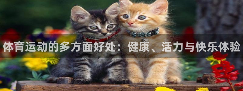 vsport体育官网下载招商电话：体育运动的多方面好处：健康