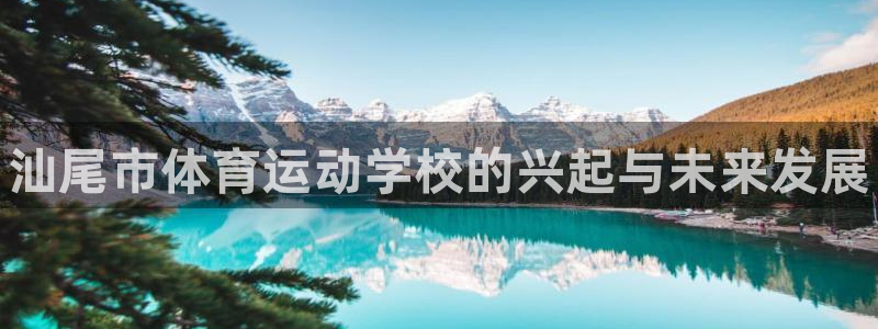 vsport体育官方正版app娱乐下载：汕尾市体育运动学校的