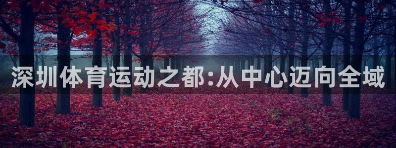 vsport体育官方正版app神州：深圳体育运动之都