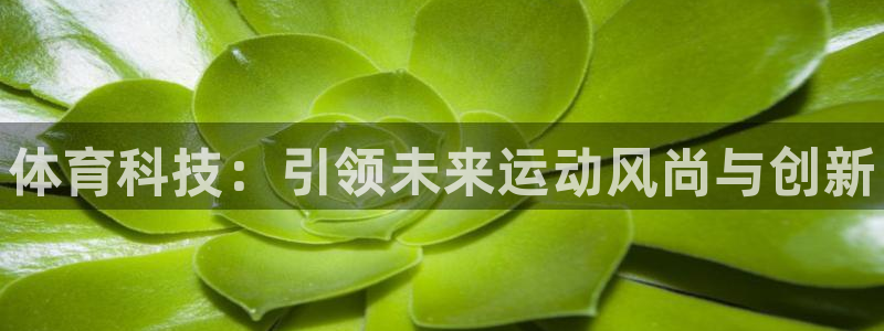 vsport体育官方正版app集团E.ON：体育科技：引领未