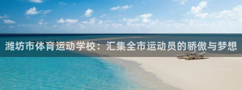 vsport体育官方正版app开户：潍坊市体育运动学校：汇集
