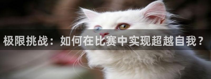 注册vsport体育官方正版app：极限挑战：如何在比赛中实