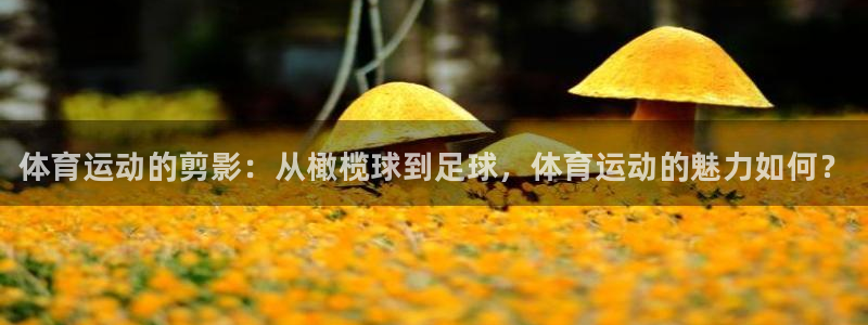 vsport体育官方集团官网