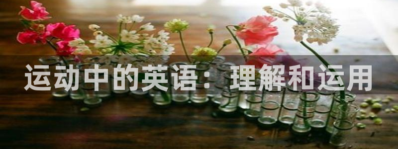 vsport体育官网下载招商电话号码是多少