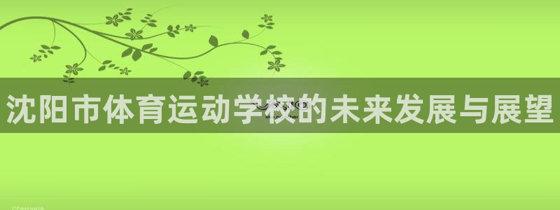 vsport体育官方正版app科技