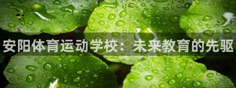 vsport体育官网下载招商电话地址查询：安阳体育运动学校：