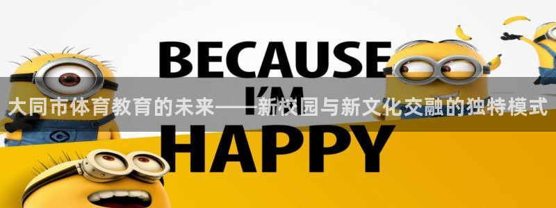 vsport体育官网下载平台是正规平台吗知乎：大同市体育教育