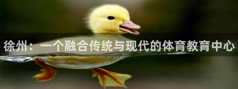 vsport体育官网下载官方客服电话：徐州：一个融合传统与现