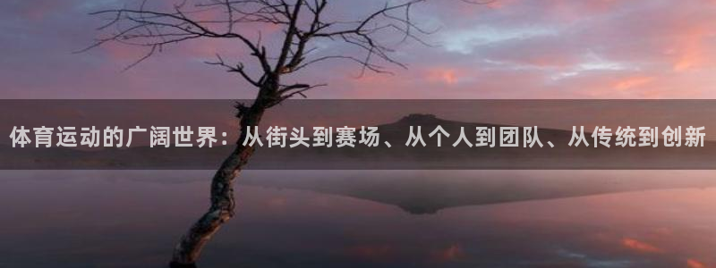 vsport体育官网下载平台注册流程图：体育运动的广