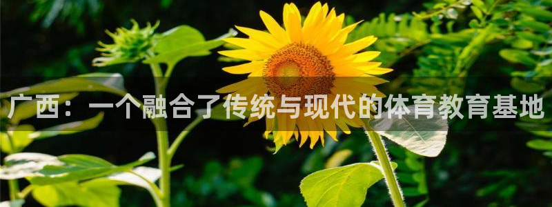 vsport体育官网下载平台注册流程图：广西：一个融合了传统