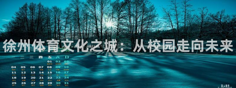 vsport体育官网下载