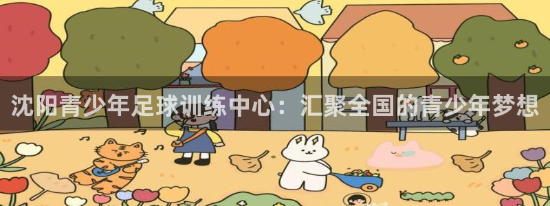 vsport体育官方正版app娱乐代理怎么样：沈阳青少年足球