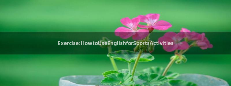 vsport体育官网下载招商电话地址：Exercise:Ho