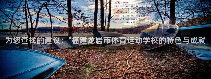 vsport体育官方正版app官网