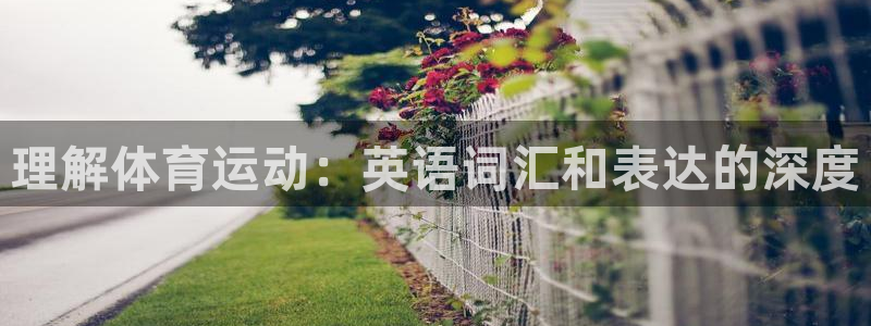 vsport体育官网下载：理解体育运动：英语词汇和表