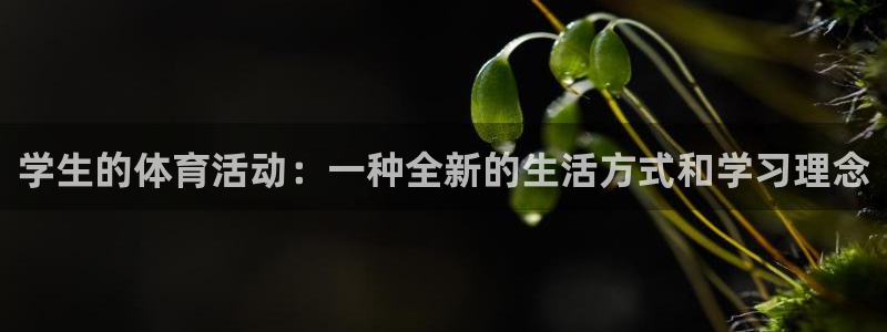 vsport体育官网下载软件：学生的体育活动：一种全