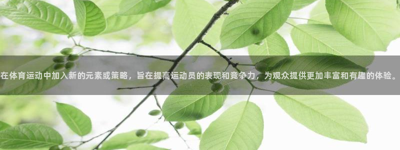 vsport体育官网下载招商：在体育运动中加入新的元