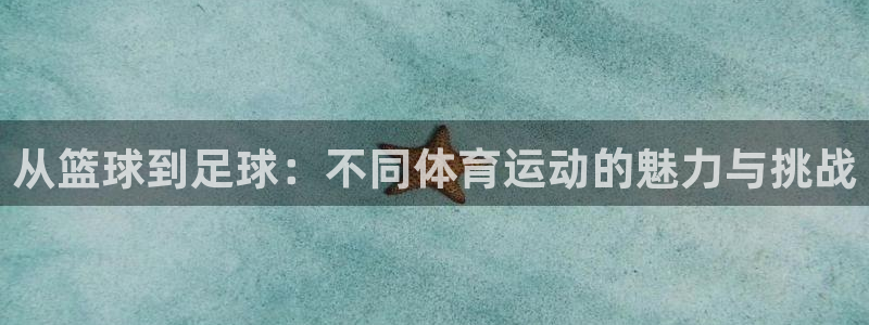 vsport体育官网下载软件：从篮球到足球：不同体育