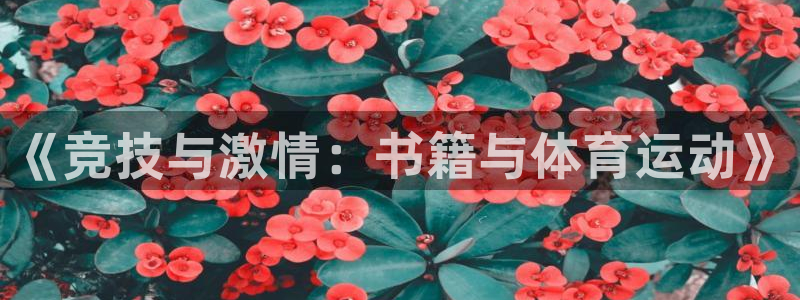 vsport体育官网下载招商电话是多少：《竞技与激情