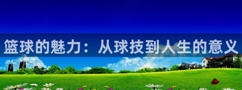 vsport体育官网下载招商电话号码是多少号：篮球的