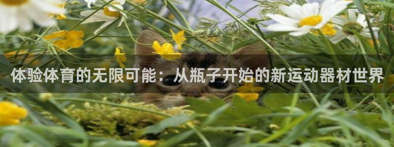 vsport体育官网下载平台注册流程图：体验体育的无