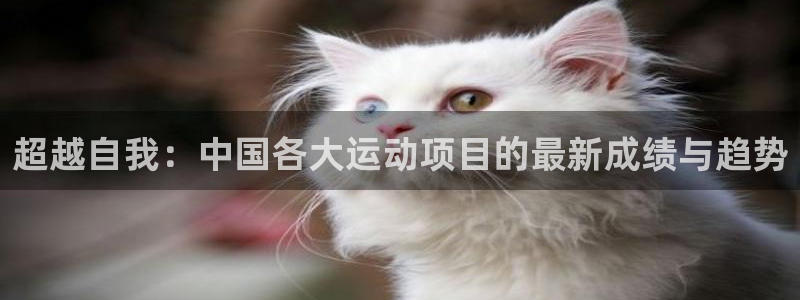 vsport体育官网下载平台注册要钱吗安全吗：超越自