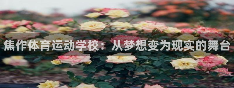 vsport体育官网下载招商电话地址查询