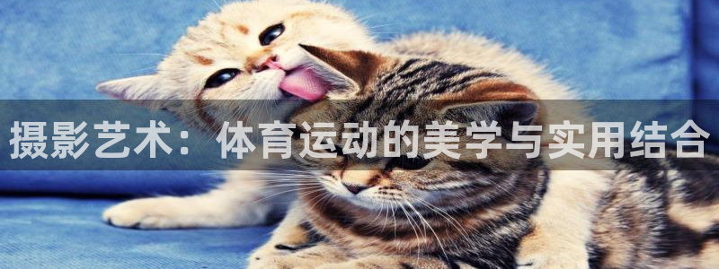 vsport体育官方正版app娱乐代理怎么样：摄影艺术：体育