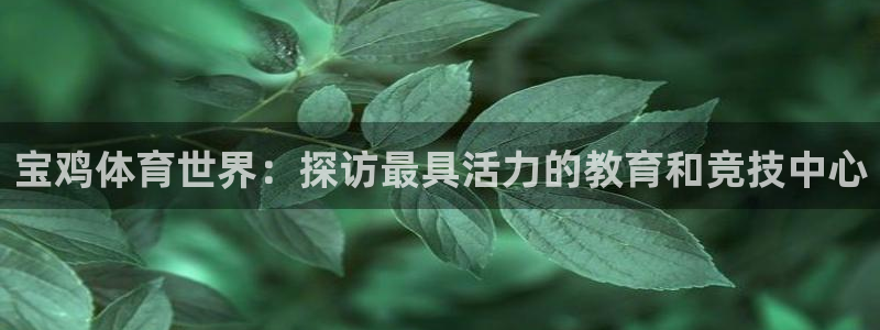 vsport体育官网下载平台注册要钱吗是真的吗：宝鸡体育世界