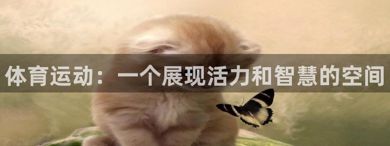 vsport体育官网下载平台假的吗是真的吗：体育运动：一个展