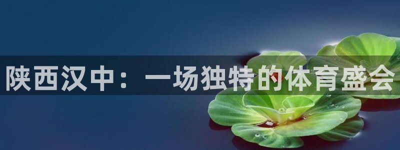 vsport体育官方正版app新能源：陕西汉中：一场