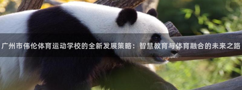 vsport体育官方正版app娱乐下载：广州市伟伦体育运动学