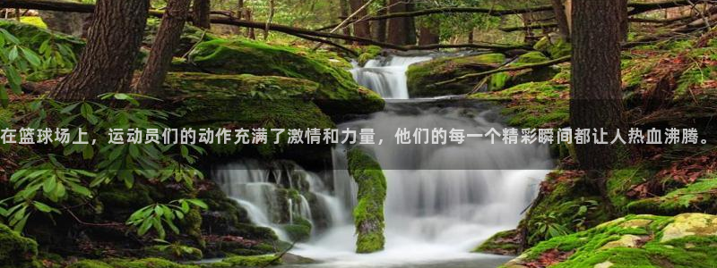 vsport体育官网下载平台假的吗是真的吗吗