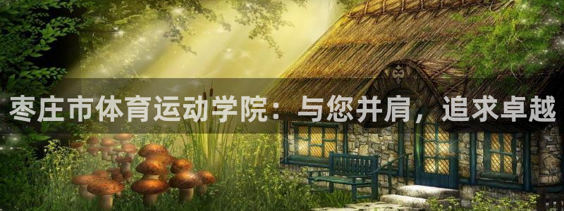 vsport体育官网下载平台注册流程图：枣庄市体育运动学院：