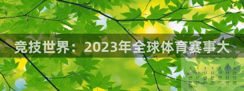vsport体育官网下载平台是正规平台吗知乎：竞技世界：20