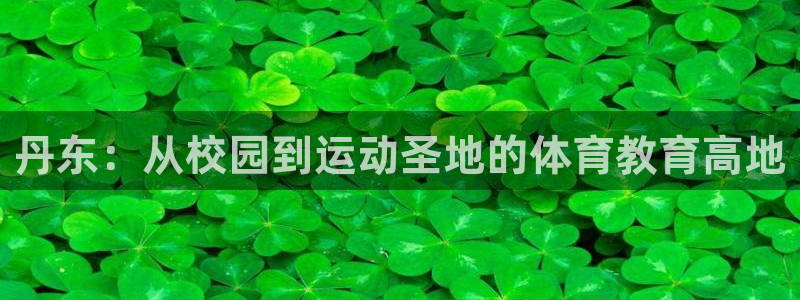 vsport体育官方正版app代理