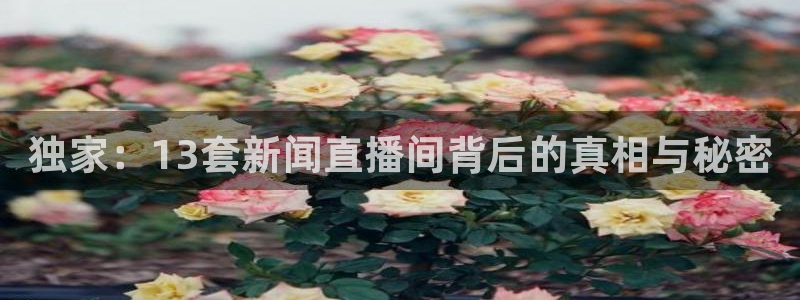 球神体育直播官网