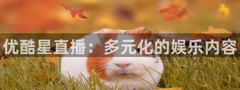 nba球神直播在线观看