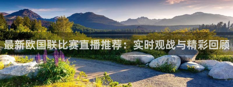 球神体育直播在线
